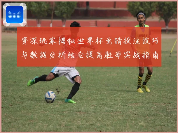 资深玩家揭秘世界杯竞猜投注技巧与数据分析结合提高胜率实战指南